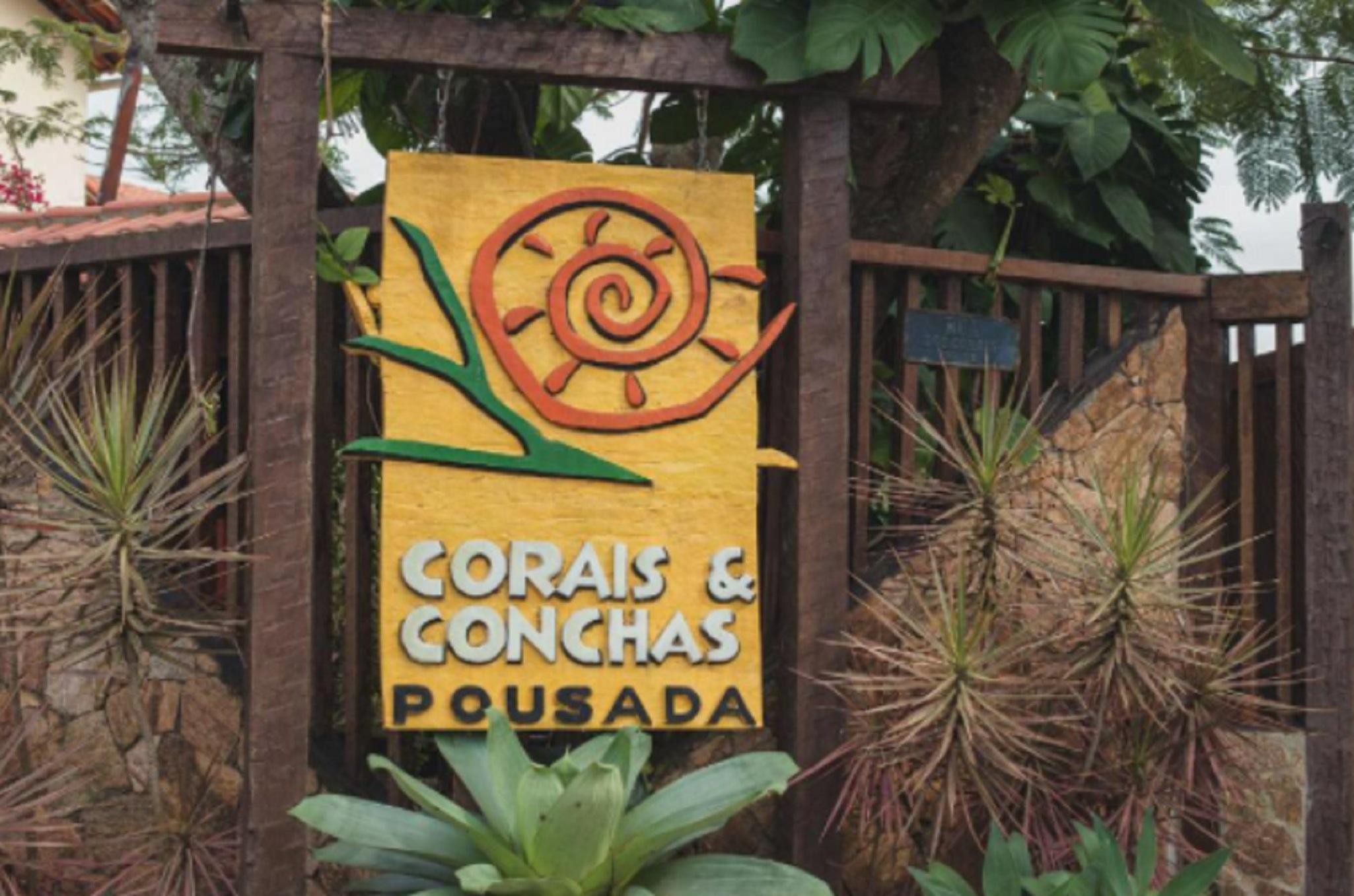Corais E Conchas